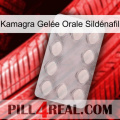 Kamagra Gelée Orale Sildénafil 16